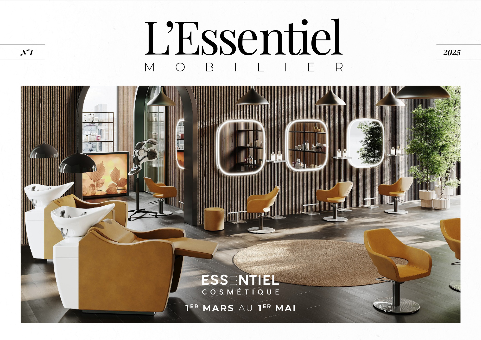 Promo-Mobilier-2025-02-1